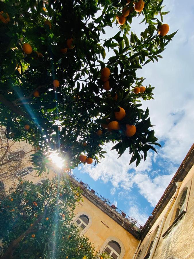 Il Chiostro Bed & Breakfast Massa Lubrense Exterior photo